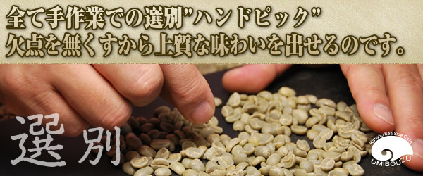 全て手作業での選別