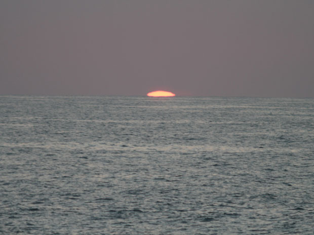 IMG_4761.jpg