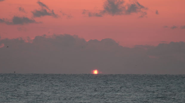 IMG_4901.jpg