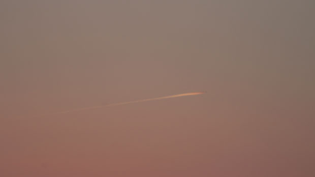 IMG_4996.jpg