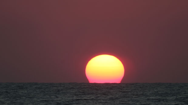 IMG_5129.jpg