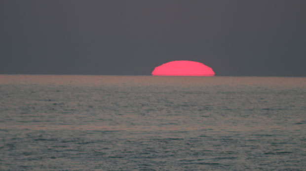 IMG_5181.jpg