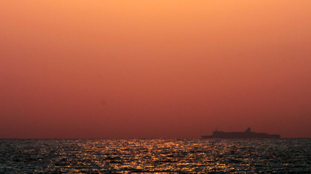 IMG_5291.jpg