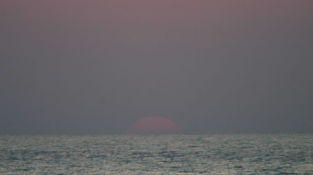 IMG_5312.jpg