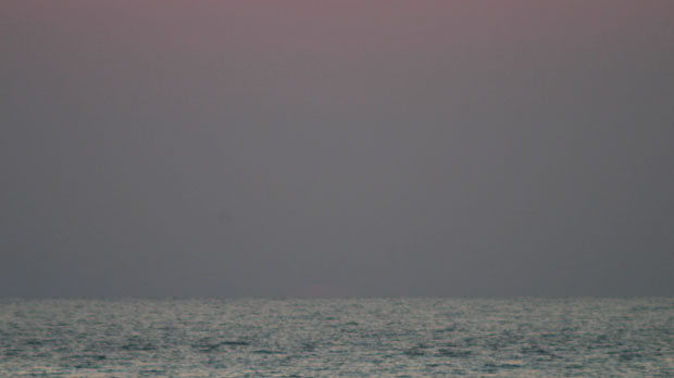 IMG_5315.jpg