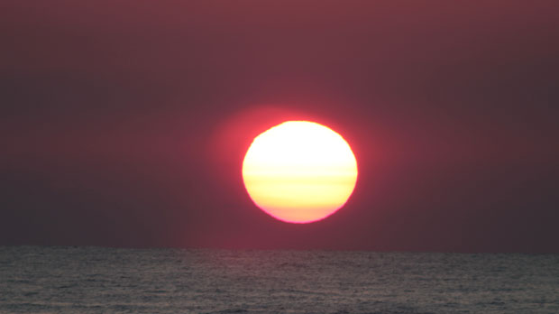 IMG_5334.jpg