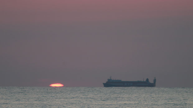 IMG_5346.jpg