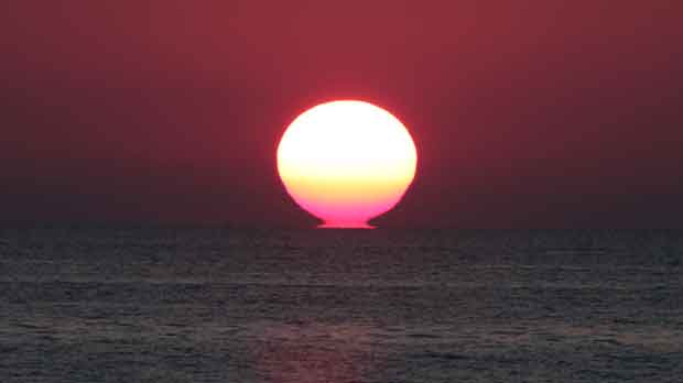 IMG_5386.jpg