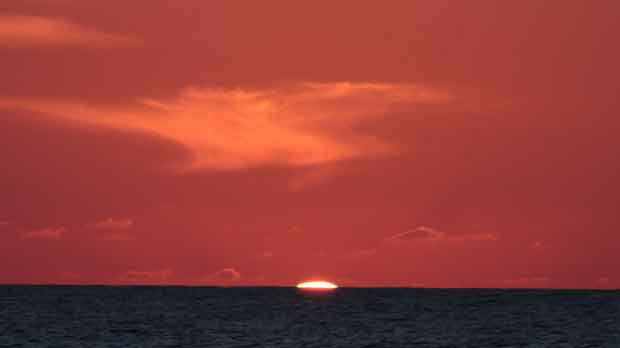 IMG_5411.jpg