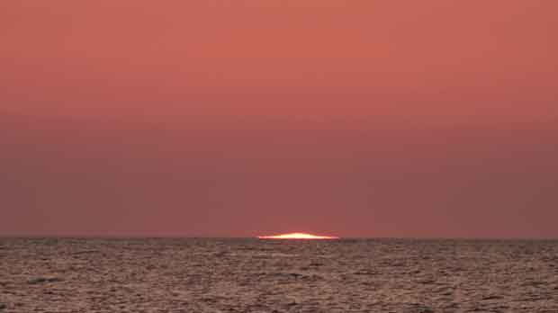 IMG_5478.jpg
