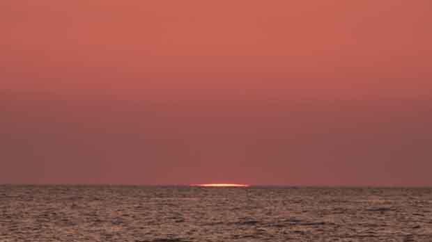 IMG_5479.jpg