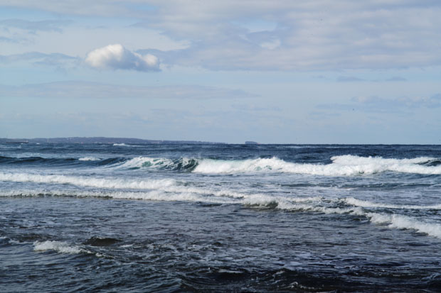 L1000049.jpg