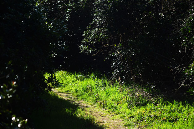 L1000123.jpg