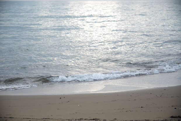 L1000141.jpg