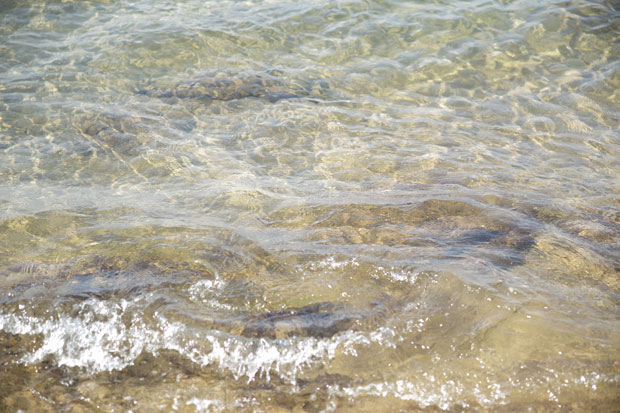 L1000163.jpg