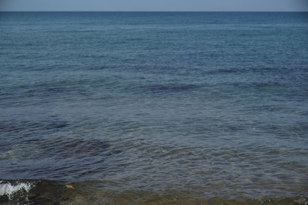 L1000168.jpg