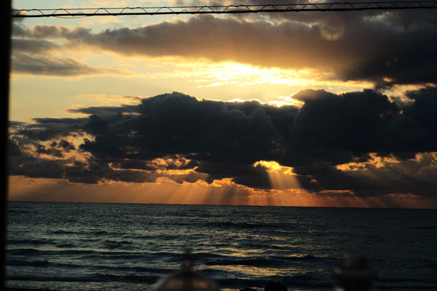 L1000263.jpg