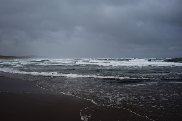 L1000375.jpg