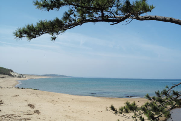 L1000384.jpg