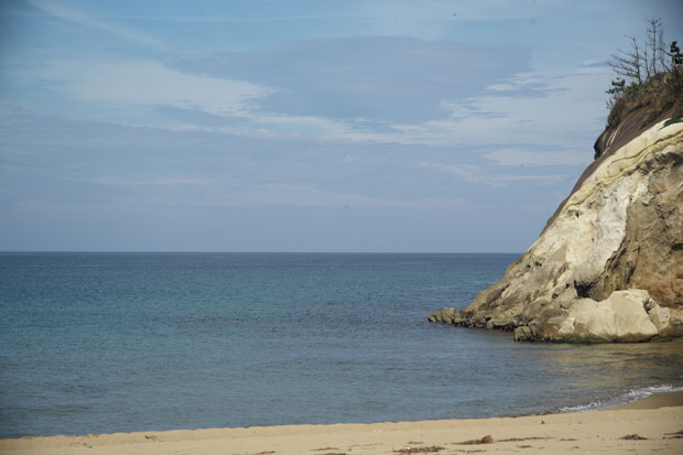 L1000411.jpg