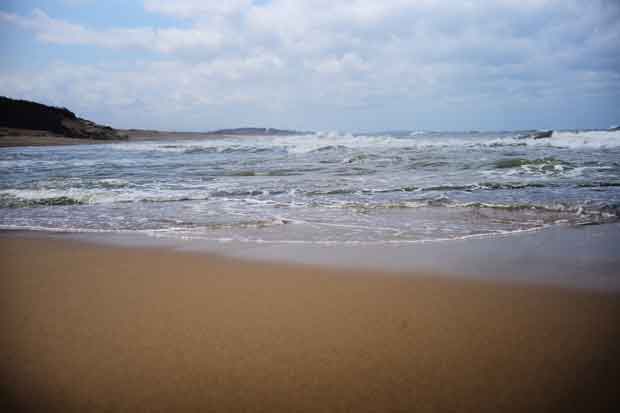 L1000437.jpg