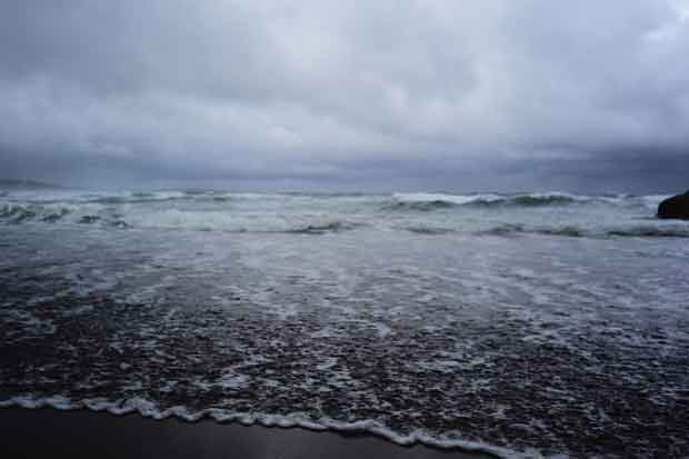 L1000537.jpg