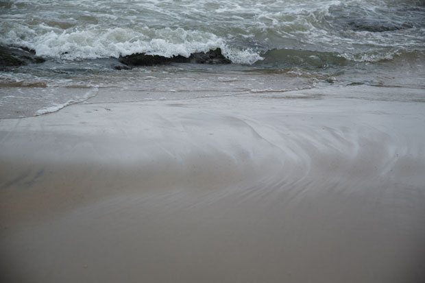 L1000598.jpg