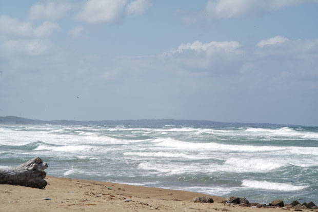 L1000738.jpg