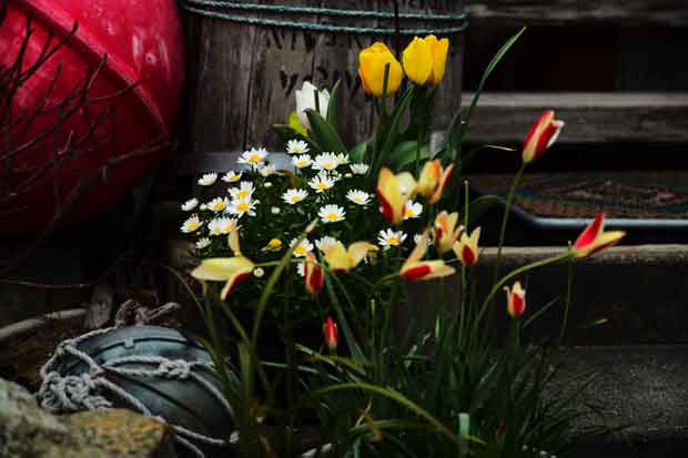 L1000761.jpg