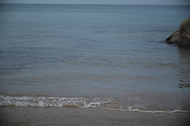 L1000862.jpg