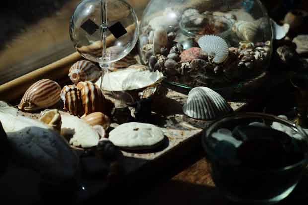 L1000929.jpg