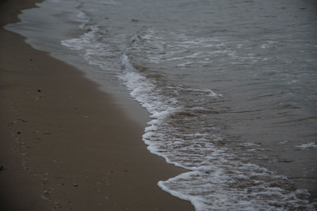L1000931.jpg