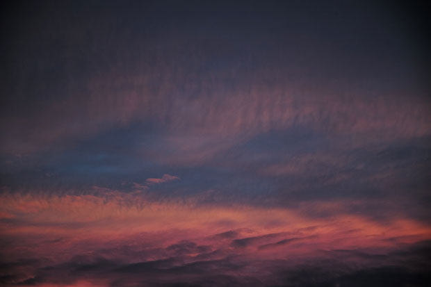 L1000952.jpg