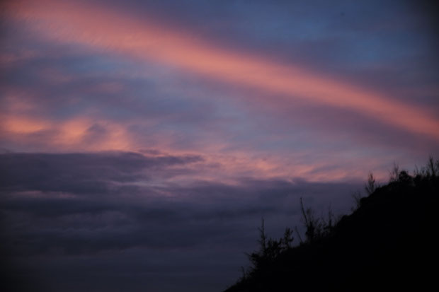L1000964.jpg