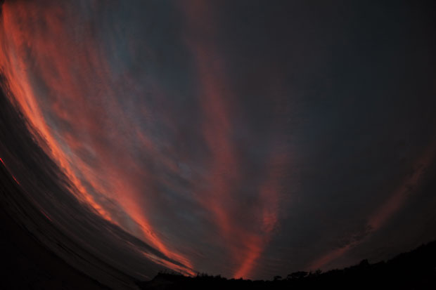 L1000981.jpg