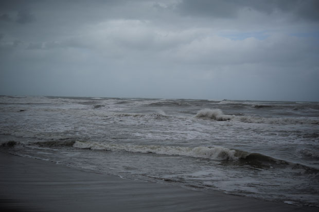 L1001079.jpg