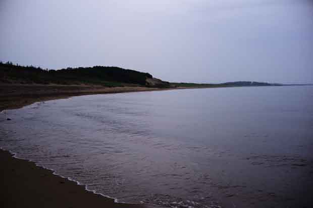 L1001099.jpg