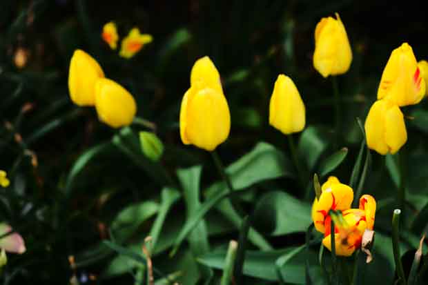 L1001197.jpg