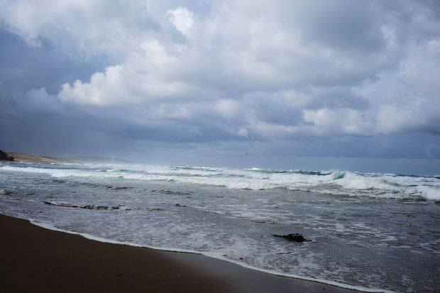 L1001298.jpg