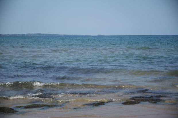 L1001324.jpg