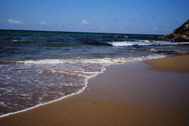 L1001430.jpg