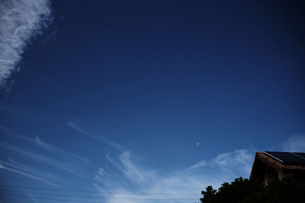 L1001479.jpg