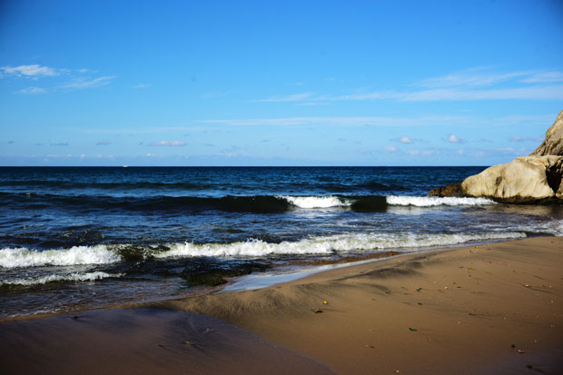 L1001551.jpg
