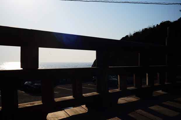 L1001562.jpg