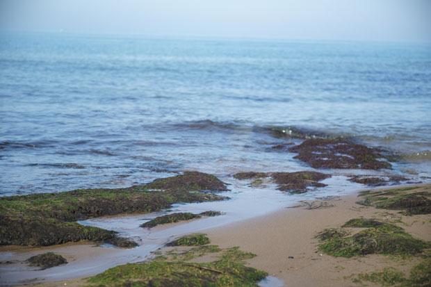 L1001574.jpg