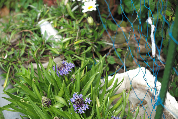 L1001633.jpg