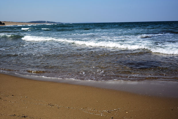 L1001651.jpg