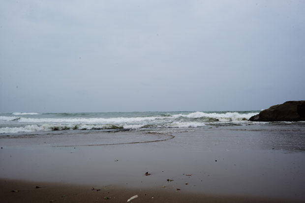 L1001798.jpg
