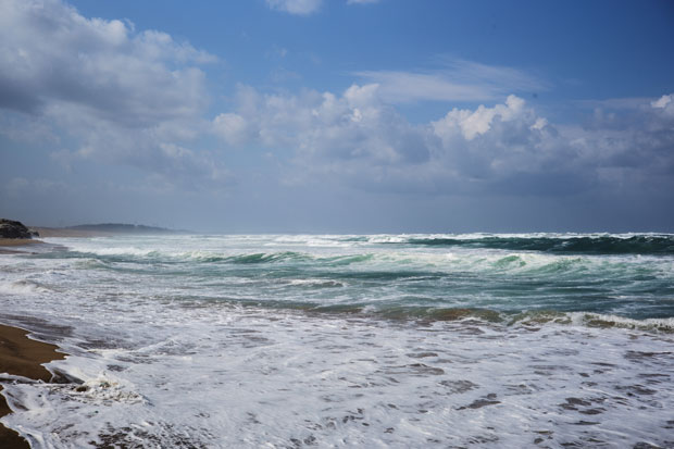 L1001800.jpg