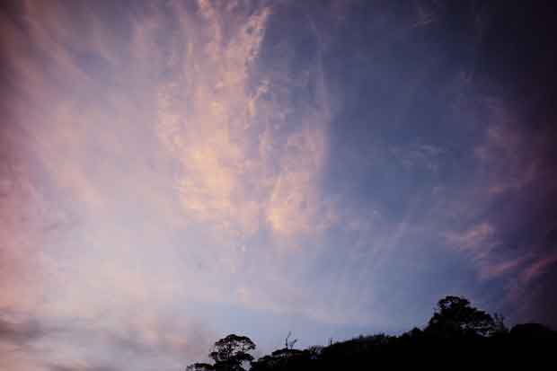 L1001838.jpg
